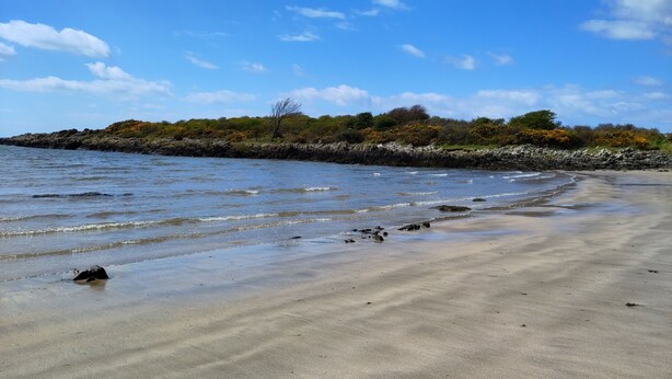 A beach with calm water, a rocky shoreline, and sparse vegetation. - Birds Nest -  a cottage that sleeps 2 guests  in 1 bedroom (Gatehouse of Fleet)