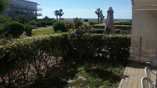 A garden with a pathway, palm trees, and a view of the sea. - T2 rez de Jardin 50m2 Bord de mer (Frontignan plage)