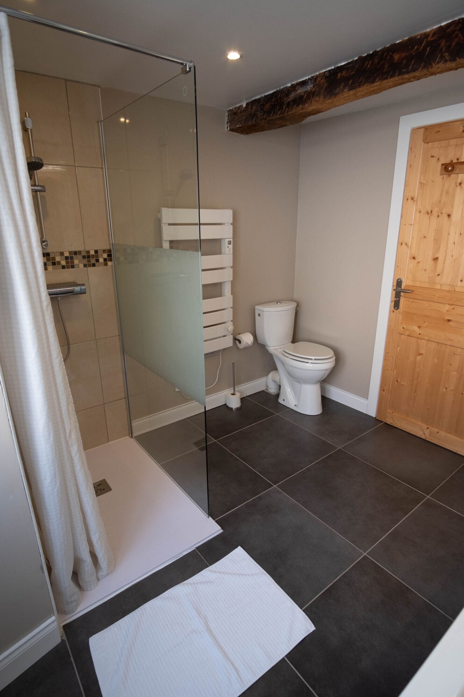 A bathroom with a glass shower enclosure, a toilet, and a wooden door.