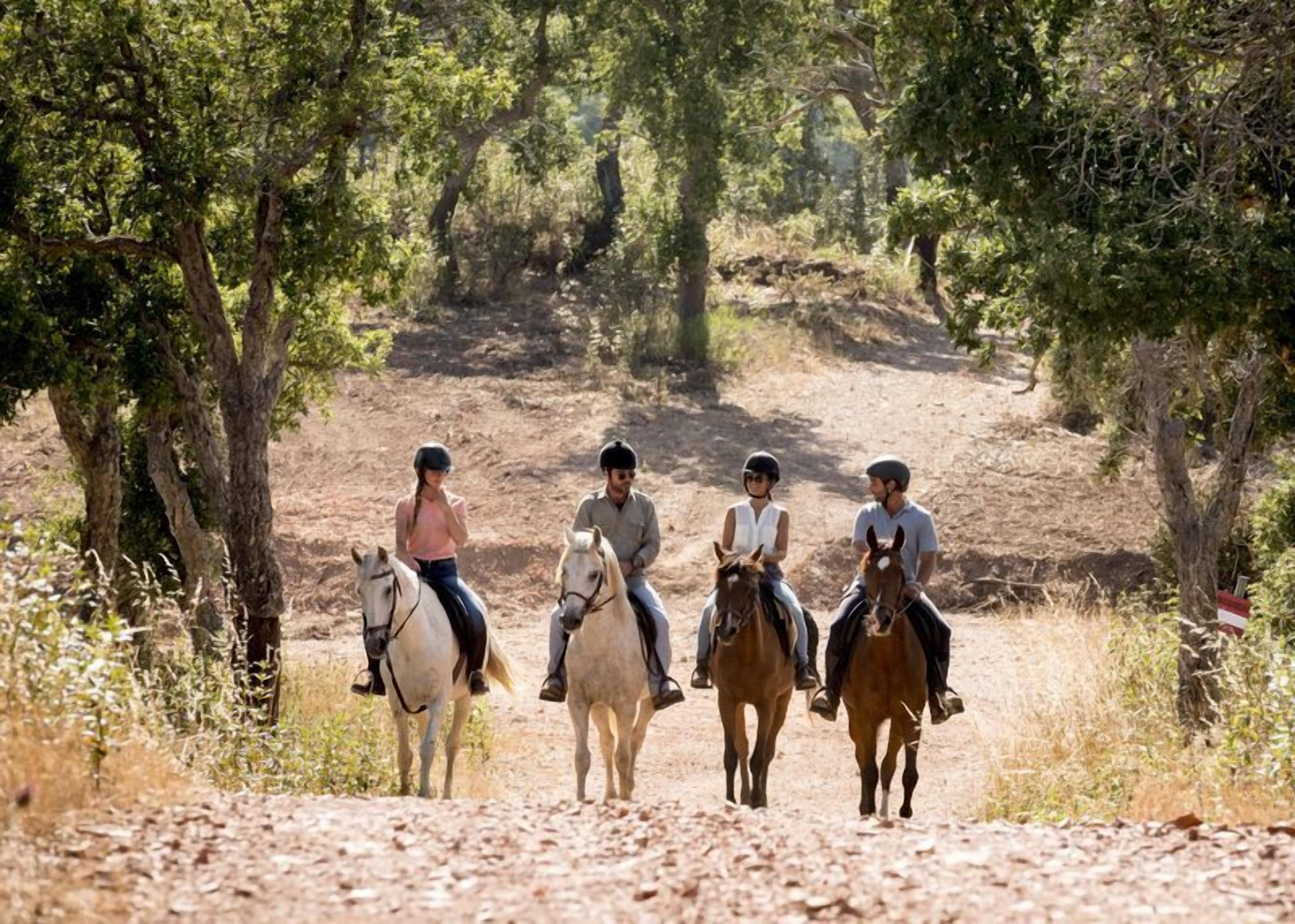 Four people riding horses on a dirt path surrounded by trees.