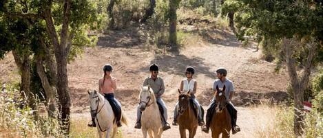 Four people riding horses on a dirt path surrounded by trees.