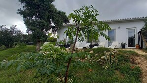 A white building with a garden in front, including a small tree and various plants. - Monte da Urze (Aljezur)
