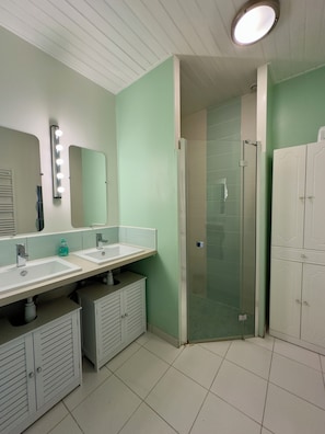 Shower, hair dryer, towels, soap
