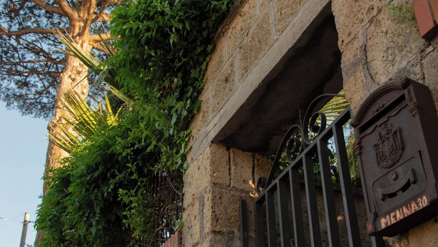 A stone wall with a metal gate, a tree, and some greenery. - Comfortable Living Space in Sorrento (Sant'Agnello)