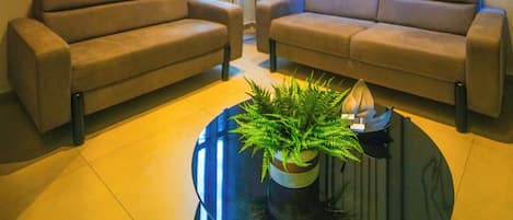 Un salon moderne avec deux canapés, une table basse agrémentée d’une plante et trois œuvres d’art encadrées accrochées au mur.