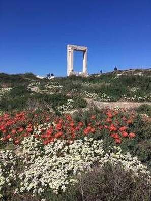 A historical site with a prominent stone structure, surrounded by a hillside with red and white flowers. - Valentina Central Studio (Naxos)
