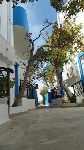 Apartment, 1 Bedroom | Property grounds