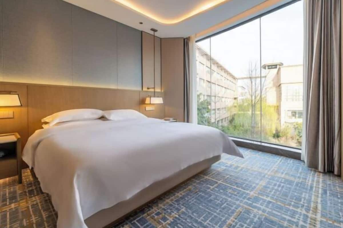 A hotel room with a large bed, a nightstand, a lamp, and a window with a view of buildings.