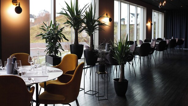 A restaurant with tables and chairs, potted plants, and large windows. - The Tide - Hotel (Moskenes)