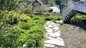 Un sentier de pierres traverse un jardin où poussent différentes espèces de plantes, et on aperçoit une montagne au loin.