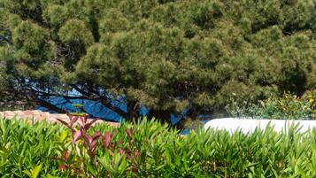 Apartment | 2 Schlafzimmer