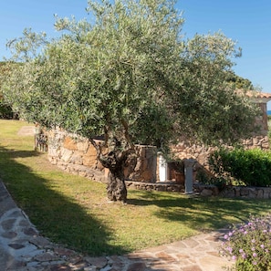 Apartment | 2 bedrooms - Casa EOS in Baia Sant Anna (Budoni)