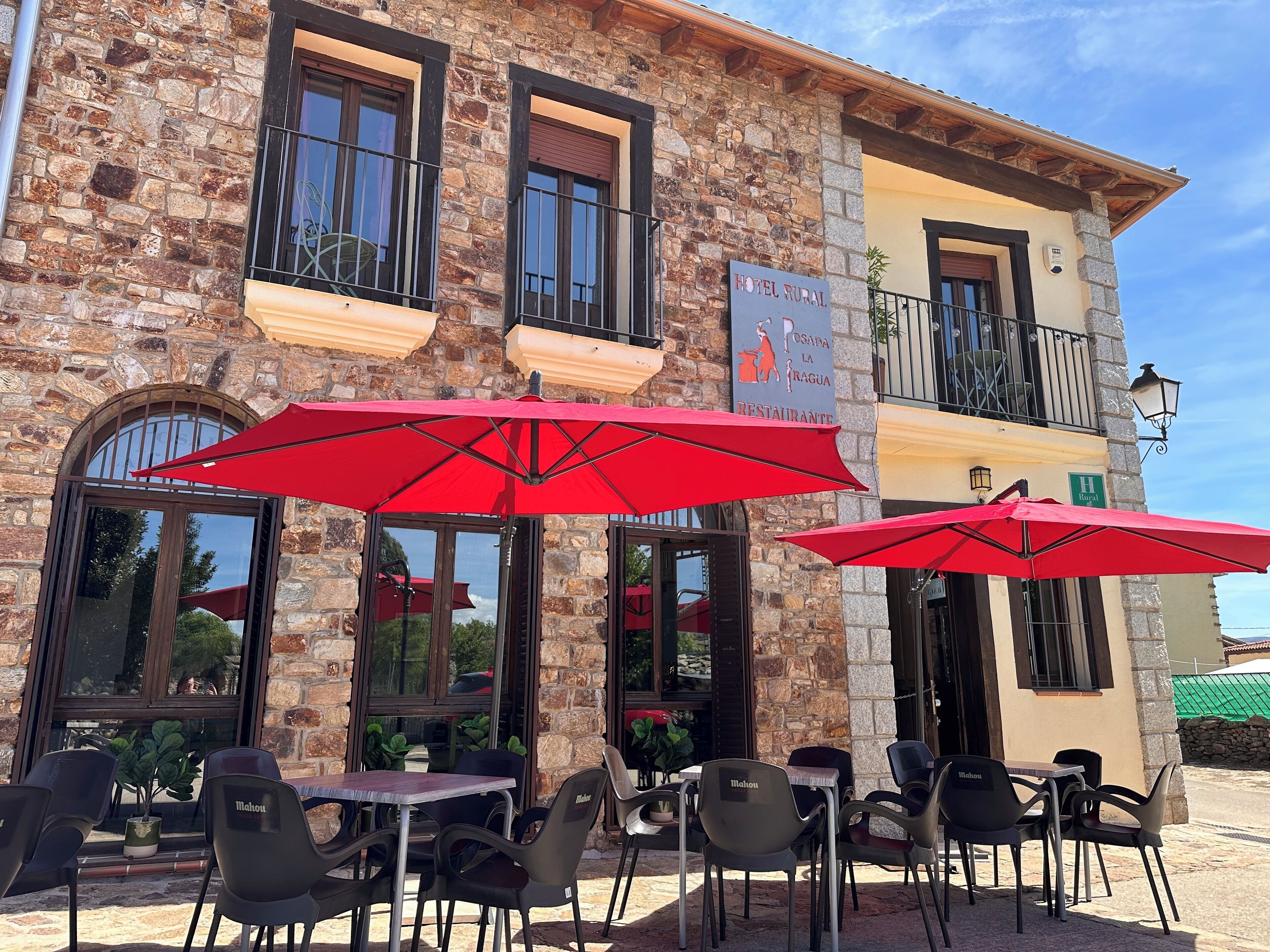 Serveert ontbijt en lunch