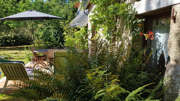 A patio area with a table and chairs, surrounded by lush greenery and ferns.