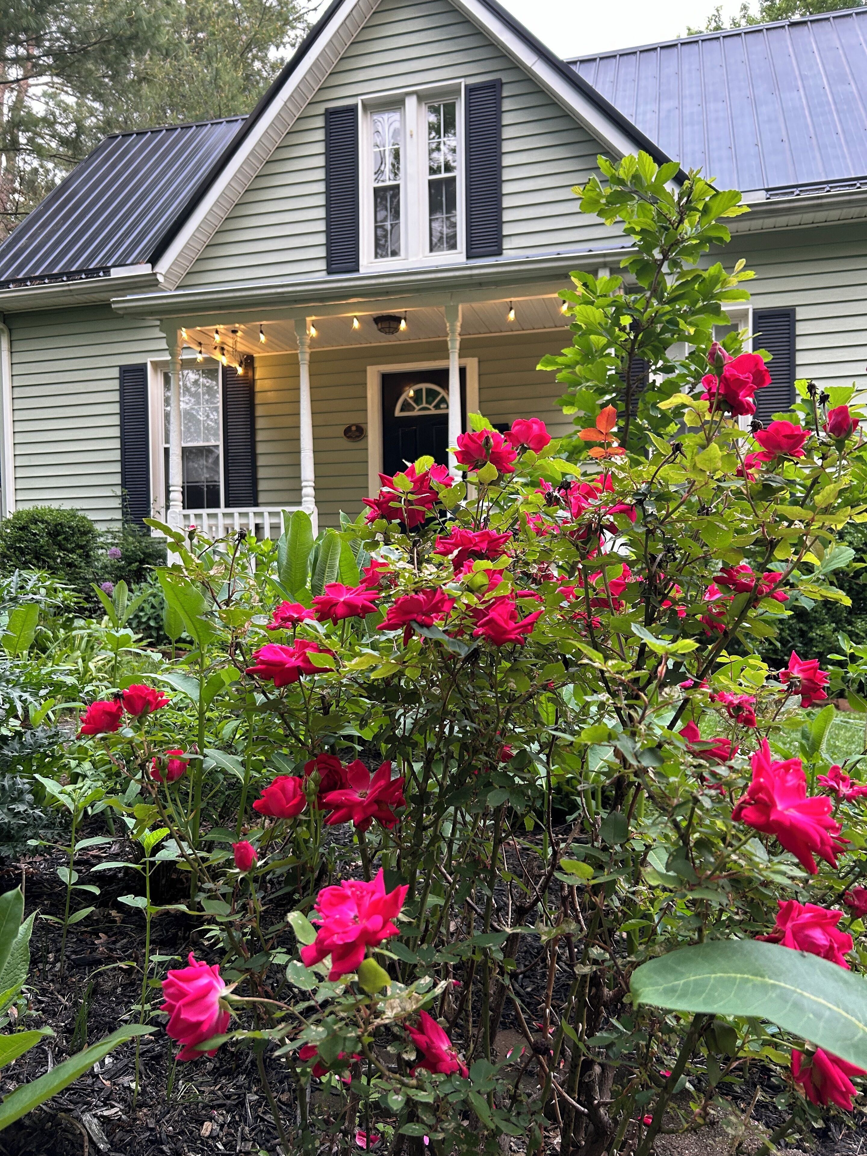 Tranquil Tree Streets Historic Cottage 3BR 