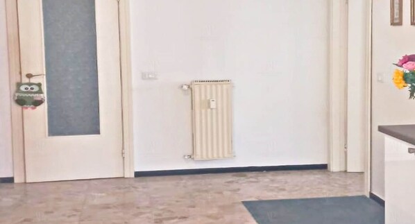 Une pièce avec un radiateur, une porte et une petite plante accrochée au mur.