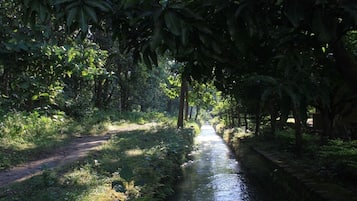 Children’s activities