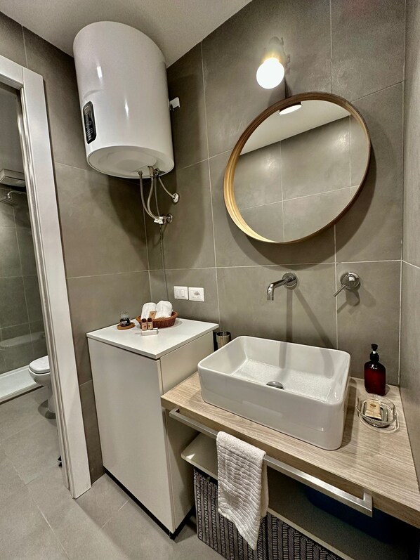 Shower, hair dryer, bidet, towels