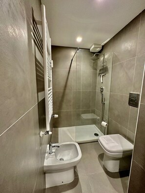 Shower, hair dryer, bidet, towels