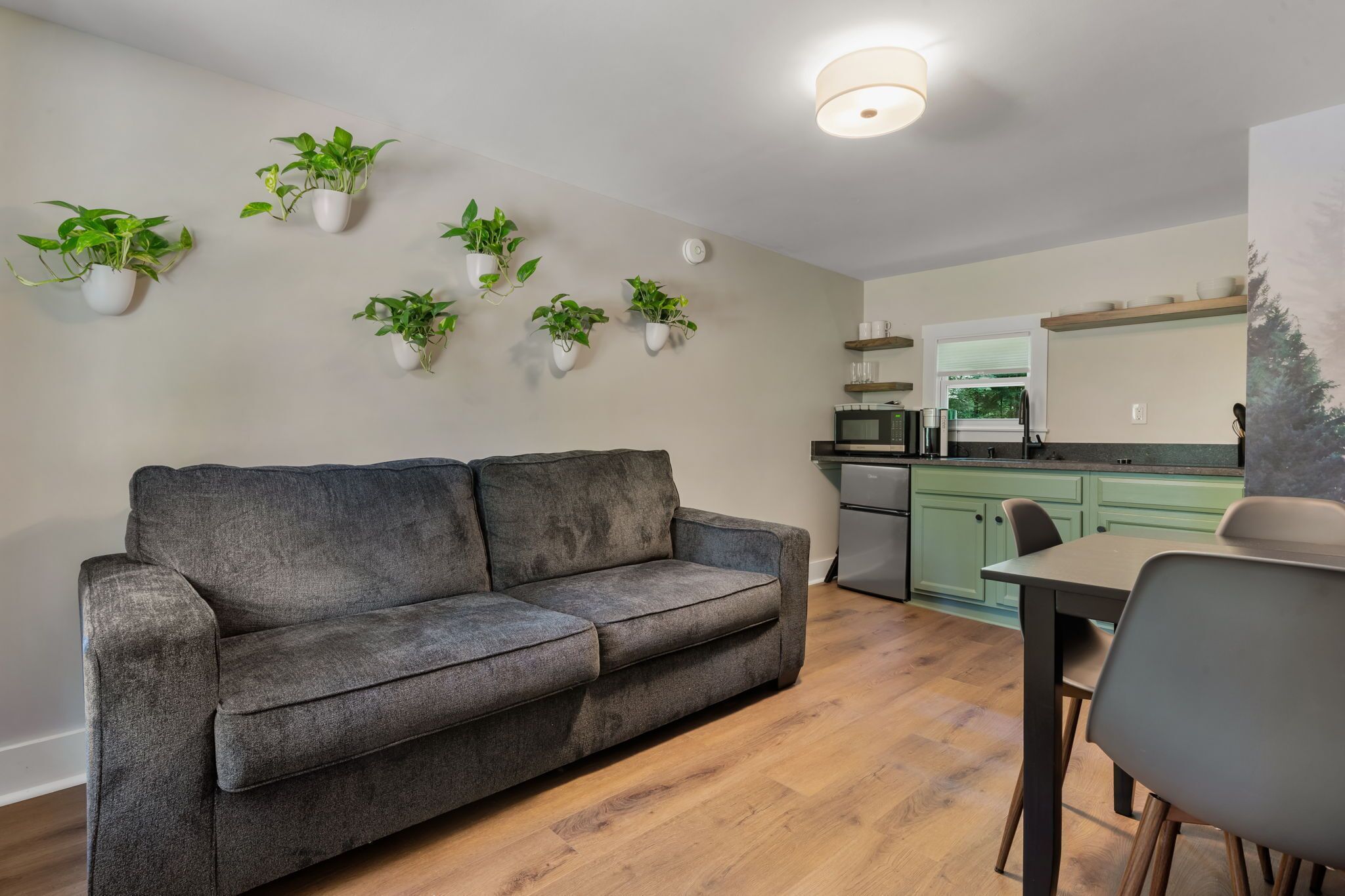 A modern living room with a grey sofa, a dining table with chairs, and several potted plants on the wall.