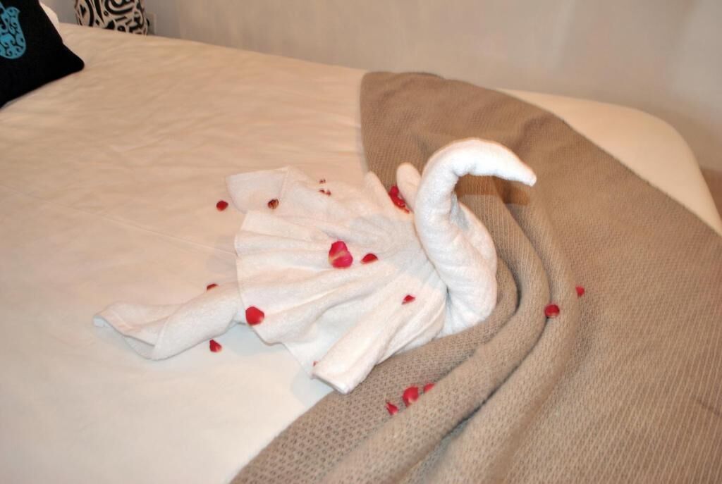 Photo - Riad Essaada