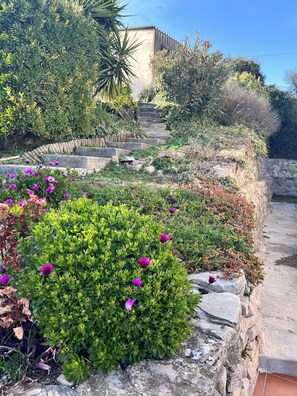 Stroll through the beautifully landscaped garden, featuring a variety of flowering plants and shrubs.