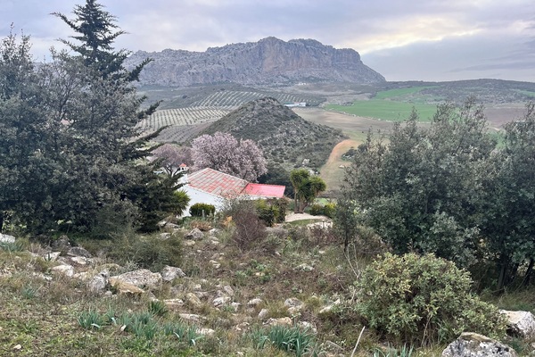 Cortijo Lucero and El Torcál