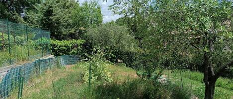 Overnatningsstedets område