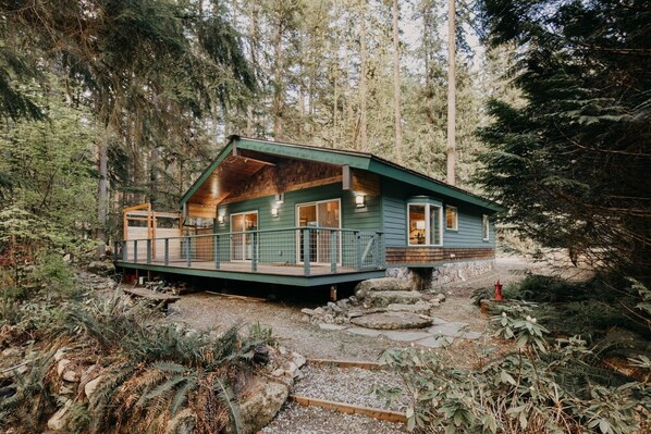 Escape to a secluded cabin nestled in a forest, offering a sheltered porch and a tranquil natural setting.