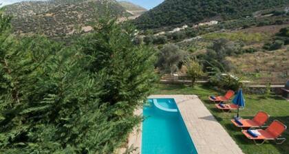 Villa with pool and big garden