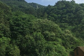 A dense forested hillside with a small building at the bottom right. - Yuxian Tea Farmer Inn (Taohuatan Scenic Area) (Jing County)