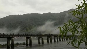 Un puente sobre una masa de agua con una colina boscosa al fondo.