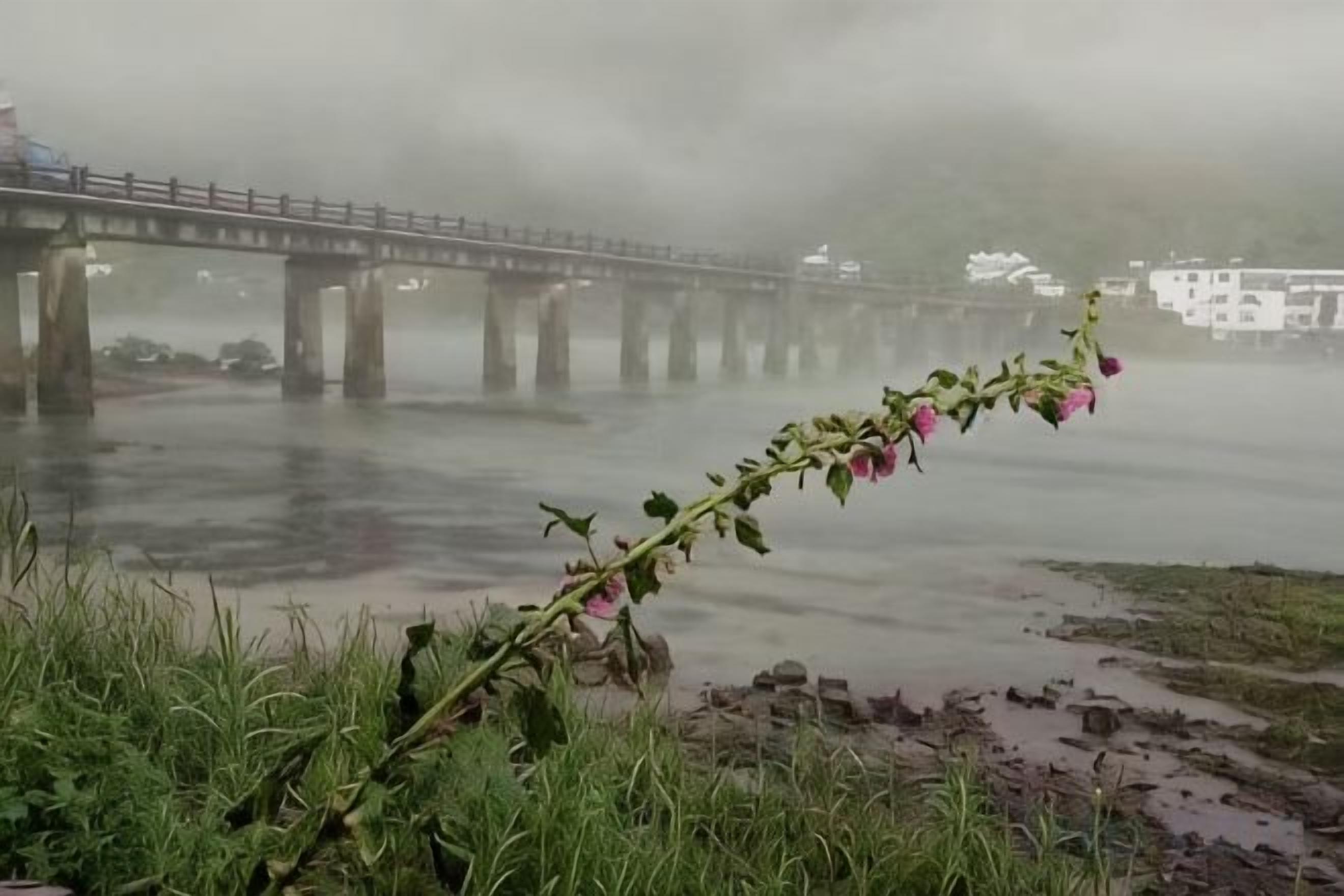منوع