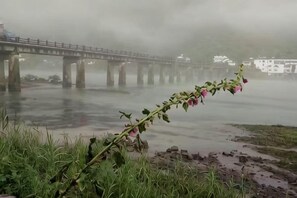 Unclassified image, 4 of 10, button - Yuxian Tea Farmer Inn (Taohuatan Scenic Area) (Jing County)