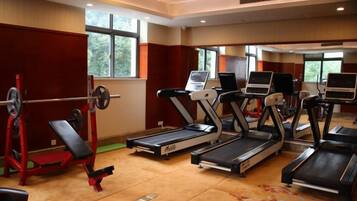 A gym with treadmills, a weight bench, and a rowing machine.
