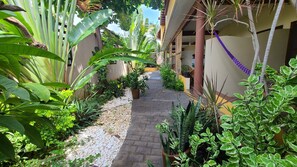 Front of property - Casa Majagua (Brisas de Zicatela)