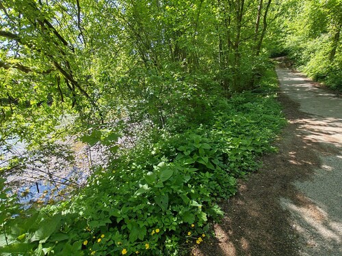 Vintage apartment near Kokra river