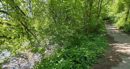 Vintage apartment near Kokra river