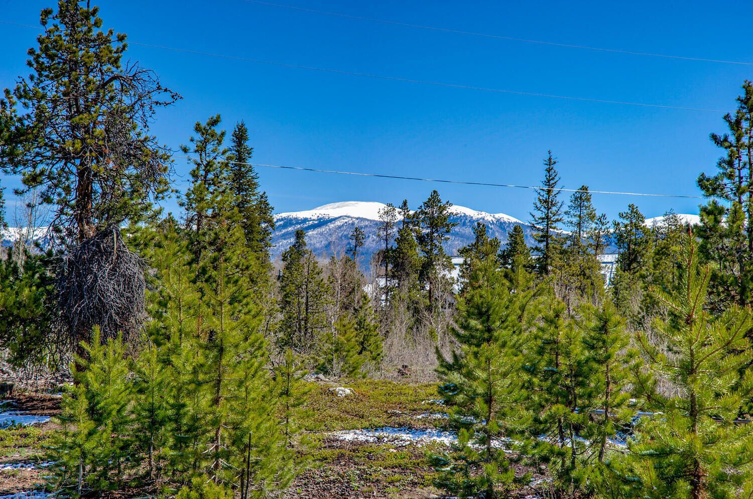 Mountain View from the home