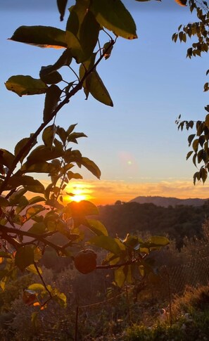 Miscellaneous - Beautiful and cosy one bedroom house (casalattico)