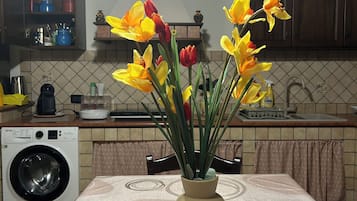 Kühlschrank, Mikrowelle, Herdplatte, Wasserkocher mit Kaffee-/Teezubehör