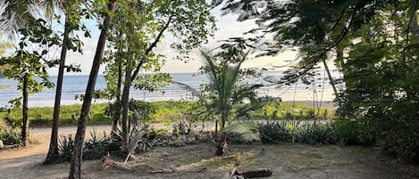 Authentic Pura Vida