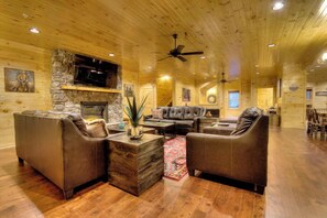 Télévision, cheminée, jeux vidéo