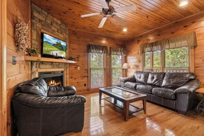 Televisión, chimenea, videojuegos