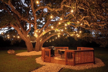 Property grounds. Hidden Eco-Luxe Earth Home Retreat in the Heart of Hill Country