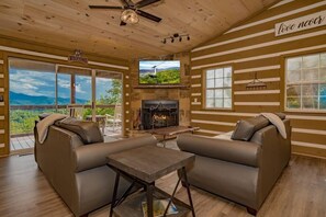 Televisión, chimenea y videojuegos