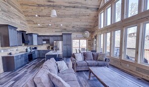 Télévision, cheminée, jeux vidéo