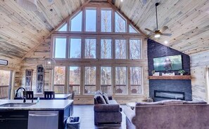 Télévision, cheminée, jeux vidéo