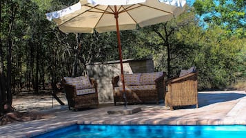 House | Pool | Outdoor pool
