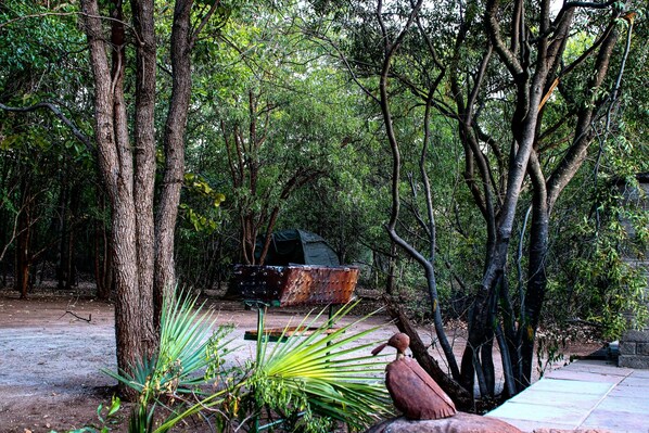 A forested area with a rustic metal bench and a green tent in the background.